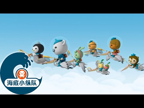 海底小纵队 - 鹈鹕航班 | 2集完整版