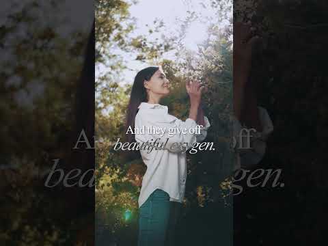 This is what we can do to reduce AQI | Barbara O'Neil| Masoom Minawala | #Shorts