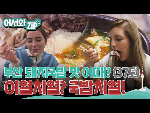 37도에 돼지국밥 먹으러 부산 갈 사람? 외국인들에게 에어컨 대신 국밥으로 여름나는 법을 알려준다고?! l #어서와ZIP l #어서와한국은처음이지