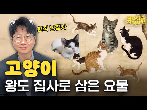 박광일 집사의 '역사 속 고양이' 이야기 🐈 | 숙종이 사랑한 반려묘 '금손이'