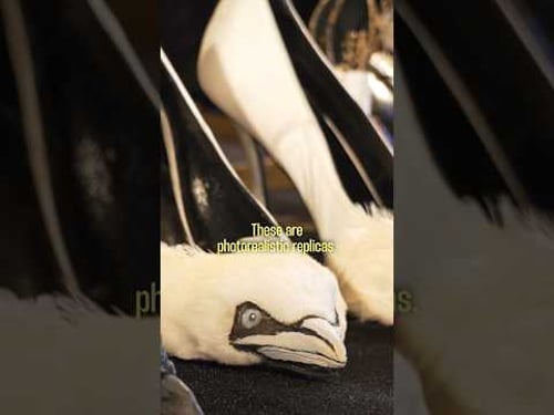 CAN YOU GUESS THE THEME OF THE SCHIAPARELLI COUTURE SHOW? #shorts