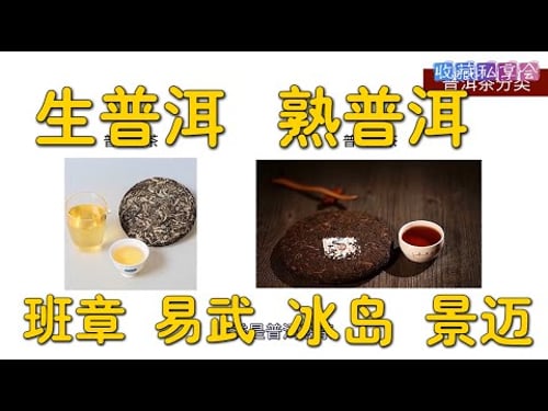 普洱茶的知识和品茗,合集共16讲