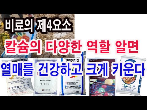 Lime fertilizer, calcium fertilizer. Knowing the diverse roles of calcium, the fourth element of ...