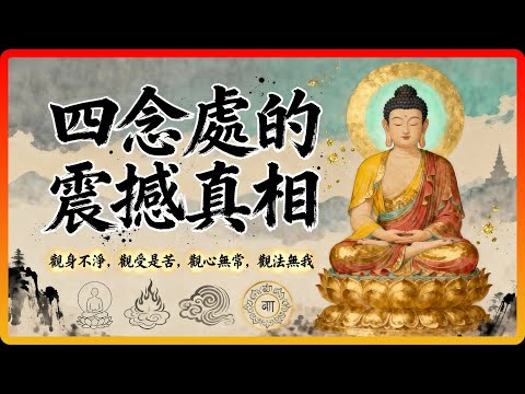 為什麼修行人越早明白「四念處」,越不被痛苦控制?觀身觀心的驚人真相!#佛教故事 #佛法 #修行 #開悟 #四念處