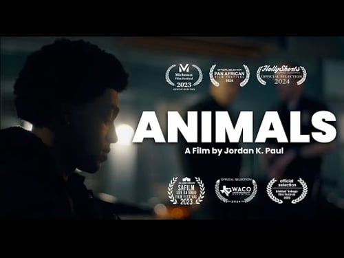 Cinematic Short Film: ANIMALS (Sony Venice + Zeiss CP2)