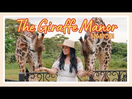 The Giraffe Manor Nairobi | How to Book | Property Tour | Giraffe Feeding | Is It Worth the Cost