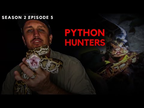 The Battle Against Burmese Pythons | An Invasive Serpent Threat | FULL EPISODE