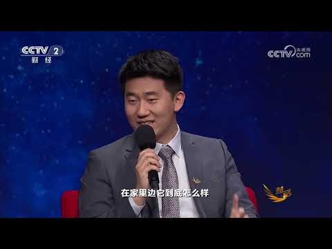 《对话》 20260228 机器人:从春晚到产业深水区 | 财经风云