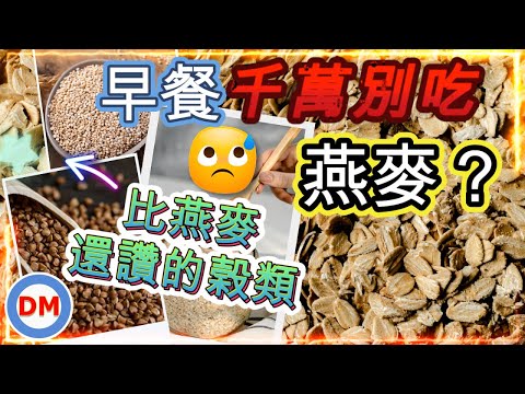 糖尿病早餐|如何吃燕麥穩定血糖,吃燕麥血糖上升還是下降?比燕麥還讚的榖類【一定要看到最後】 糖老大