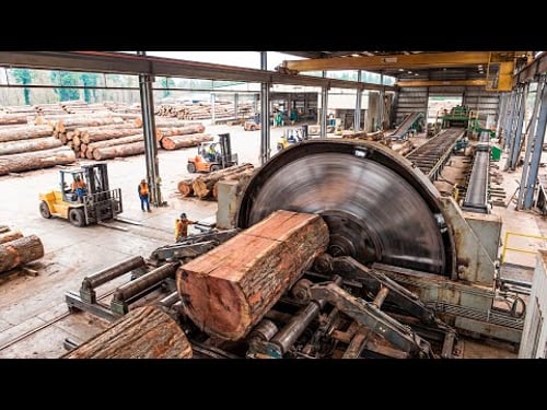 The process of turning a large tree into a table – the complete process