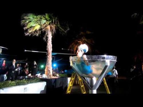 Girl in Martini Glass