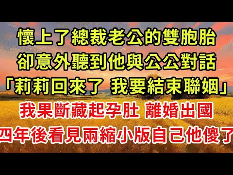 I accidentally got pregnant with the CEO husband's twins and was about to tell him the good news b