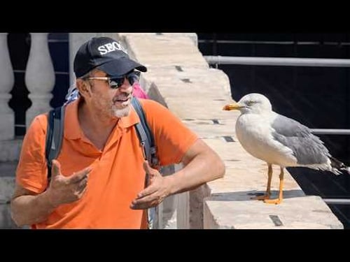 When Animals Catch Humans by Surprise in the Funniest Ways π€ͺ