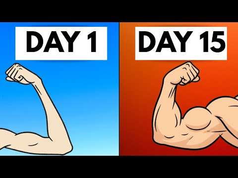 5 Exercises That Build Bigger Arms Fast (No Equipment Needed)