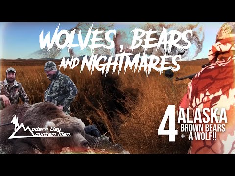 Alaska Brown Bear & Wolf Hunting Adventure | Wolves, Bears & Nightmares
