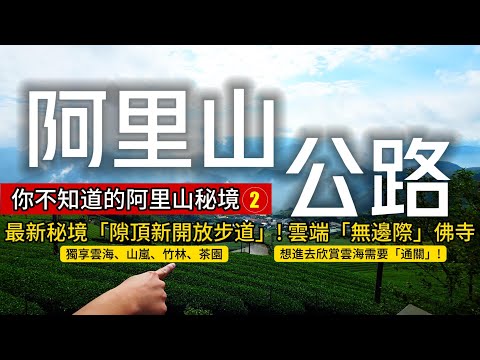 Insider's Guide to Alishan ❷❗Hidden Gem: Free Afternoon Tea❗A Stunning Buddhist Temple with an "E...