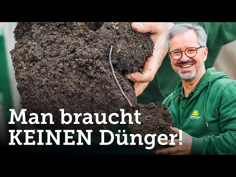 You don't need fertilizer, we'll explain why!