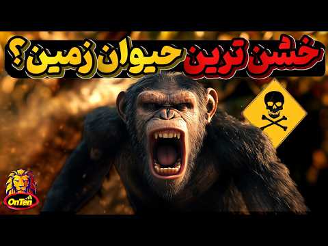 شامپانزه با ویژگی های انسان، خشن، مهربان، خانواده دوست، رفیق باز، حسود و