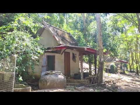 กุฏิร้างกลางเขา 100 กว่าหลัง