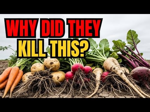 Simple to Plant, Easy to Eat — Why Modern Farming Killed These 5 Plants?