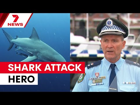 'That's mateship': Teen jumps into water to save friend from shark attack in Sydney Harbour | 7NEWS