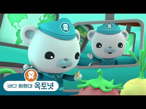 바다 탐험대 옥토넛 - 수생 동물에 대해 알아보기 - 모음집