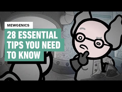 Mewgenics Essential Tips: How to Not Kill Your Cats