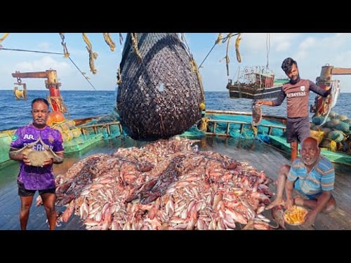 Day -7ll Epic2 💢Adventure Caught in Trawl Net💯