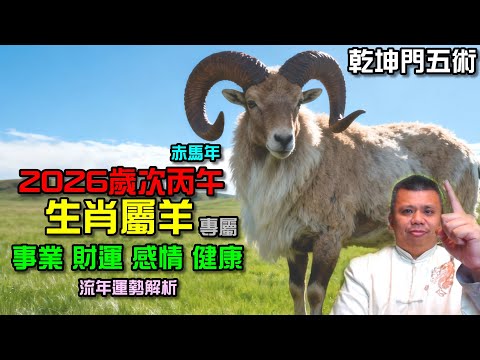 生肖屬羊專屬!2026丙午馬年流年預測解析