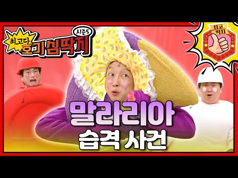 말라리아에 걸린 엄마를 구하기 위해, 호빵이가 출동한다!ㅣ최고다! 호기심 딱지ㅣ말라리아 습격 사건