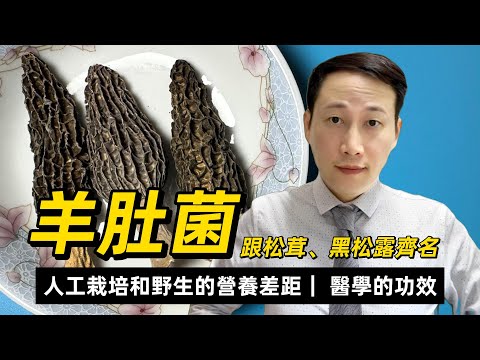 羊肚菌,在醫學上有什麼功效?人工栽培和野生的營養差距有多少?