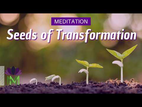 Let Go and Welcome New Beginnings | Summer Solstice 2024 Meditation | Mindful Movement
