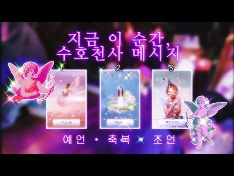 지금 이 순간, 수호천사 메시지 𓆃 예언 • 축복 • 조언 🔮 타임리스 사이킥 타로 리딩 𓂀✴︎