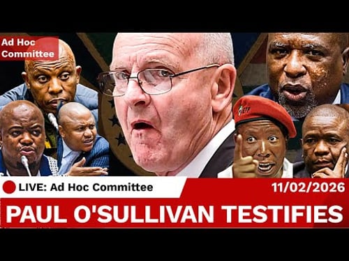LIVE: Paul O'Sullivan Testifies at Parliament Ad-Hoc Committee