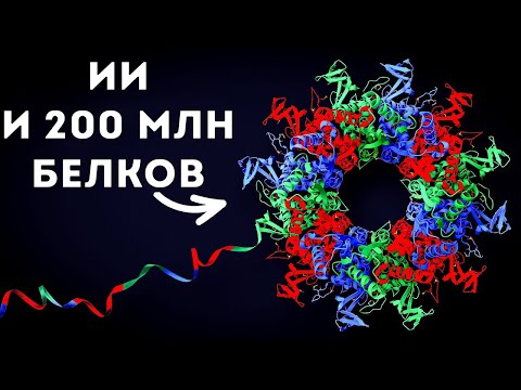 Как ИИ разгадал структуру 200 миллионов белков (Veritasium)
