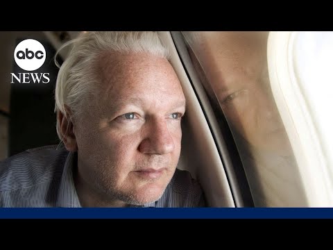 Timeline of Julian Assange's 14-year-long saga to dodge extradition