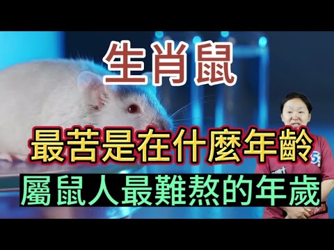 生肖鼠!一生最苦是在什麼年齡?屬鼠人最難熬的年歲!如何才能避開?
