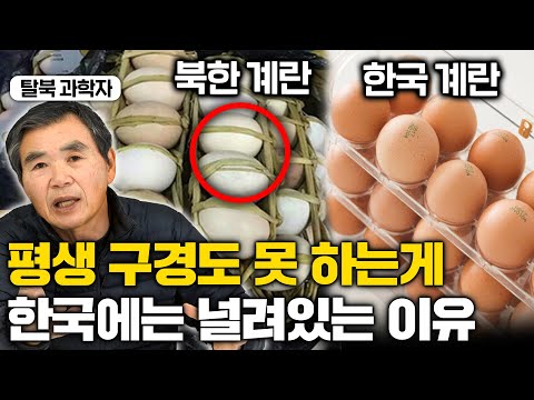 "여긴 천국입니다" 1세대 탈북 과학자가 한국으로 탈출해 본 첫 장면에 충격받은 이유 (이민복 몰아보기)