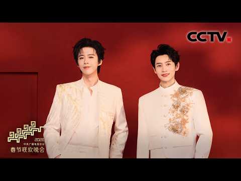 魏晨 刘宇宁用一曲《许我再少年》唱出少年意气 「2026央视春晚」| CCTV春晚