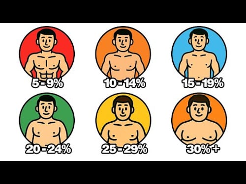 Every Hidden Advantage Of Your Body Fat Percentage Explained