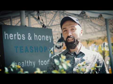 Ո՞ւր գնալ Գյումրիում | Herbs and Honey | Թեյարան-ռեստորան Մեղր և Բույս | Գիդ Գյումրիում՝ Հովհաննես