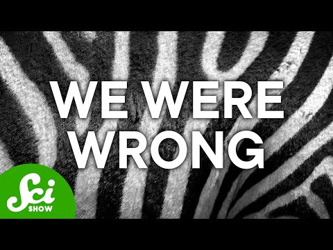 We Were Totally Wrong About Zebra Stripes