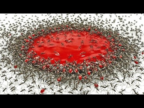 1,000 Mosquitoes vs. Blood