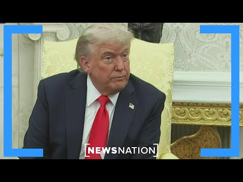 Trump compares Russia-Ukraine war to 'kids fighting in a park' | NewsNation Now