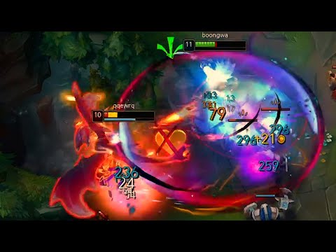 당신이 잊고 있었던 카타리나의 기본