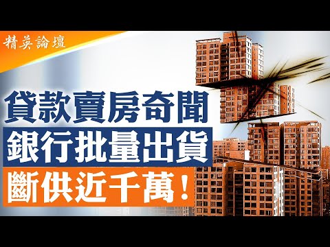 專家預言:中國房市15年内還將再次崩塌,反彈復蘇只是政治掩蓋;貸款賣房!史上最詭異樓市現身中國;銀行姓黨毫不利人專門利己,千萬家庭被房貸榨乾; #精英論壇 11/13/2025