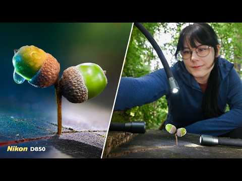 Creative Nature Close-Ups: Macro Lighting Experimentation