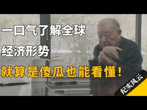 一口气了解全球经济形势,就算是傻瓜也能看懂!#十三邀 #许知远 #纪实风云 #纪录片 #许倬云