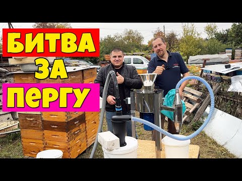 Testing Pergo-beaters: budget vs expensive 🐝