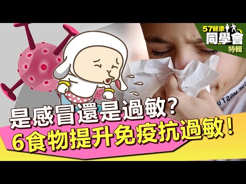 【57健康同學會 精選】是感冒還是過敏?6食物提升免疫力抗過敏!|陳奕興 陳柏臣 許瓊月